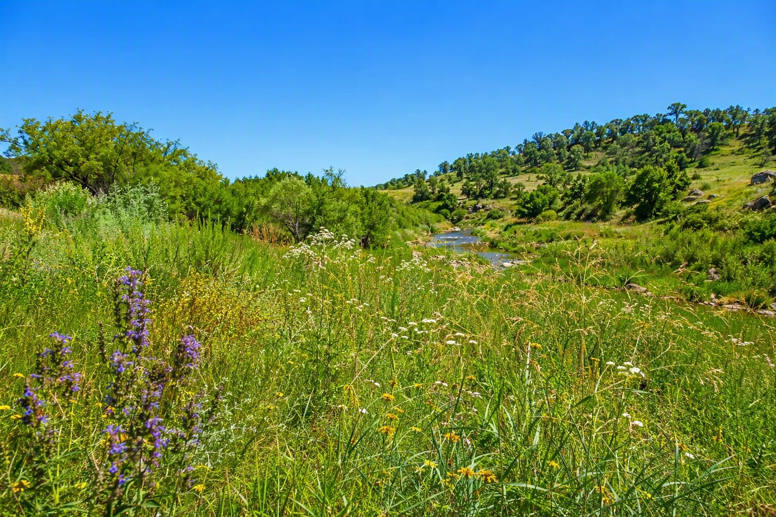 Mary's Creek park - illustration, Jake Team LLC